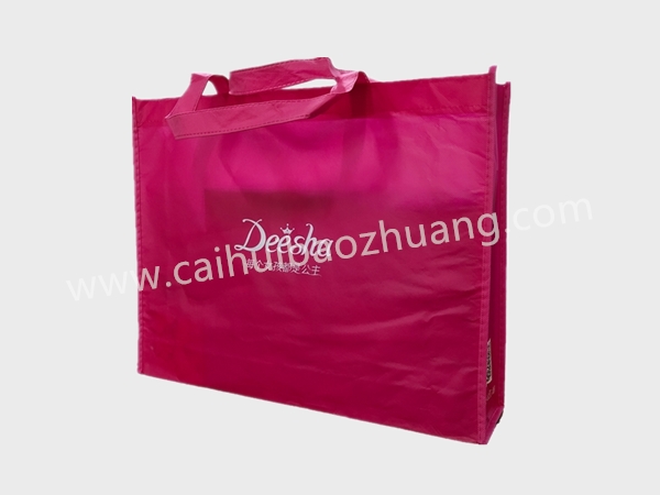 彩匯包裝  服裝定制包裝袋   環保手提袋